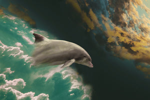 aluminium-print-fascination-dolphin