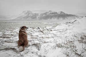 framedcanvas-print-snowstorm-x