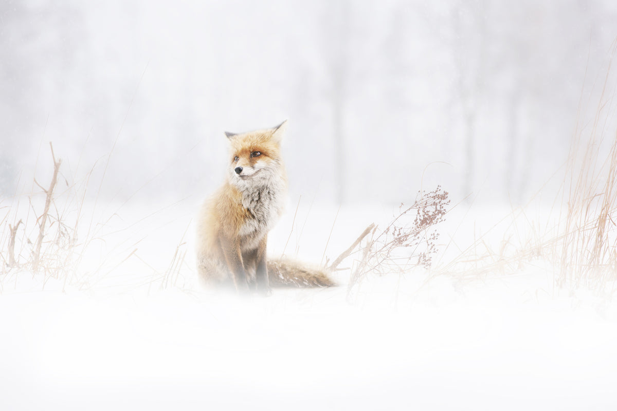 acrylic-print-waiting-xys