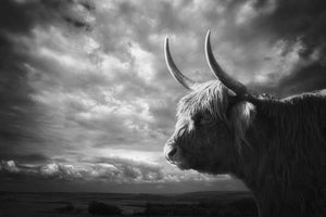 acrylic-print-the-highlands-x