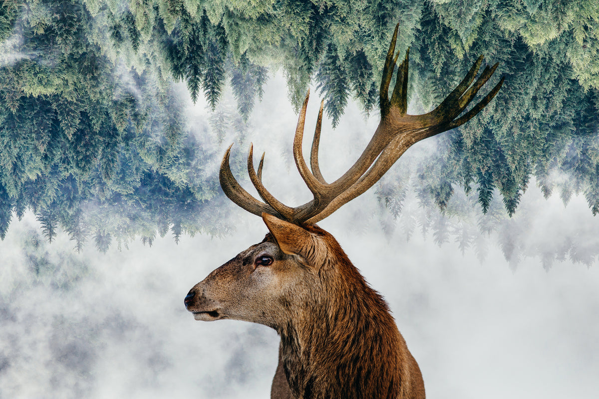 aluminium-print-the-deer-and-the-woods-x