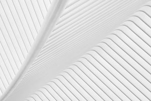 aluminium-print-canopy