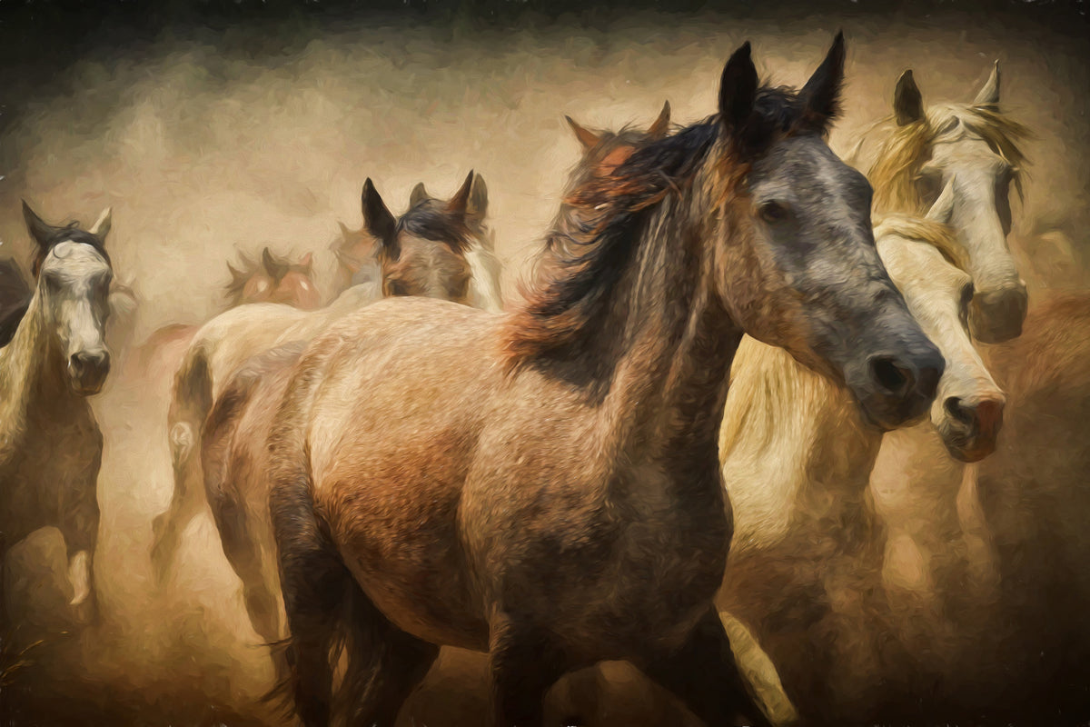 3-piece-canvas-print-painting-wild-horses
