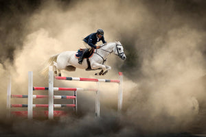 aluminium-print-white-horse-x