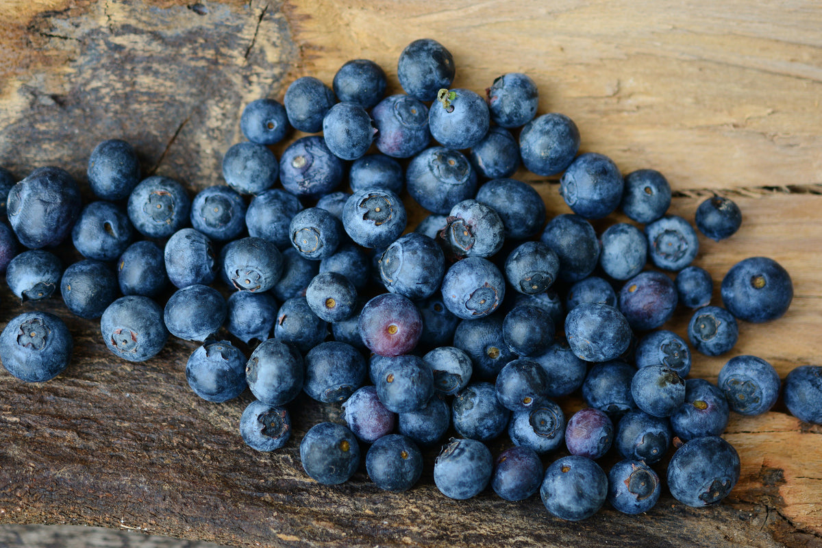 framedposter-print-fresh-blueberries