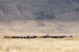 acrylic-print-incredible-maasai