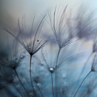 4-piece-canvas-print-teardrops