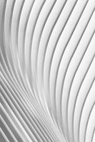 canvas-print-calatrava-lines-x