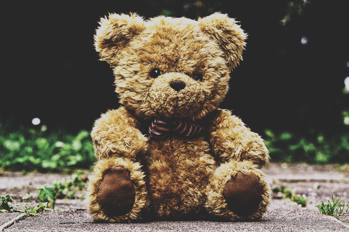 3-piece-canvas-print-love-teddy
