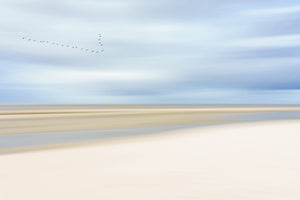 aluminium-print-at-the-ocean-iii-x