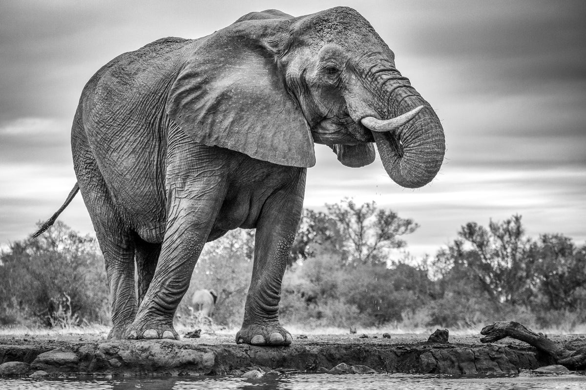 aluminium-print-standing-proud