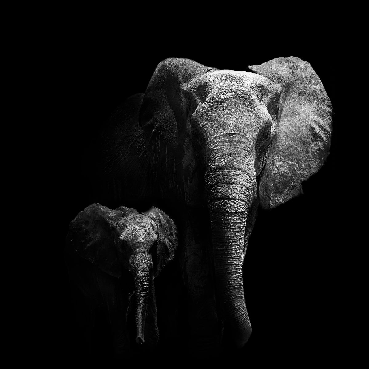 aluminium-print-mother-and-child-x