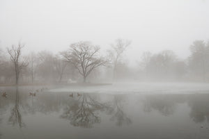 3-piece-canvas-print-untitled-xiii