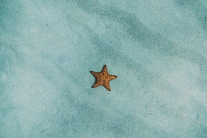 3-piece-acrylic-print-the-little-starfish
