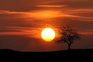 modern-3-piece-aluminium-print-the-sunset-on-the-horizon