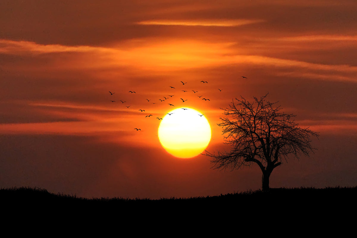 modern-3-piece-aluminium-print-the-sunset-on-the-horizon