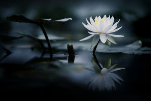 acrylic-print-reflection-xkq