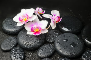 canvas-print-feng-shui-orchid-zen