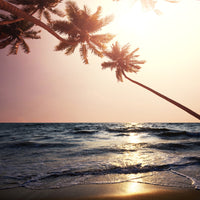 aluminium-print-seaside