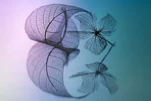 canvas-print-story-of-leaf-and-flower