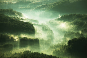 poster-print-over-the-woods