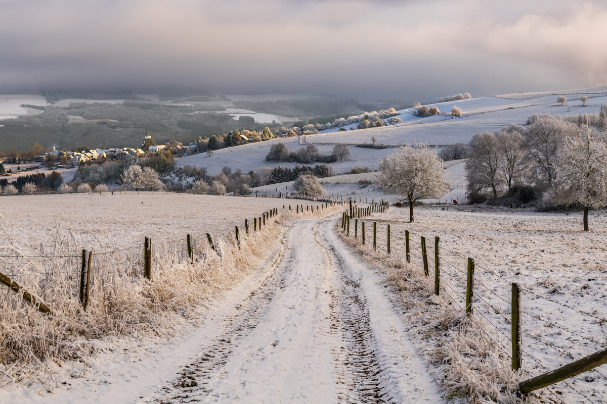 framedcanvas-print-winter-wonderland