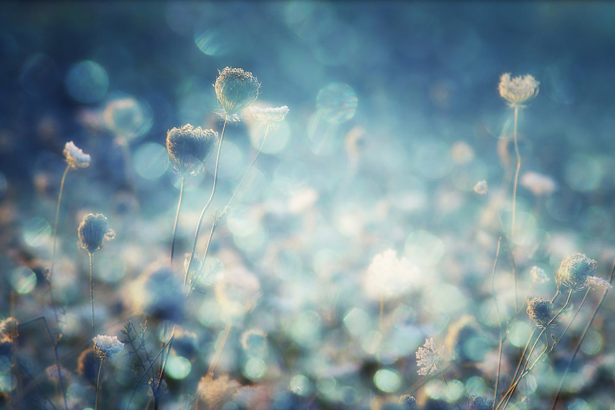 acrylic-print-diamonds-x
