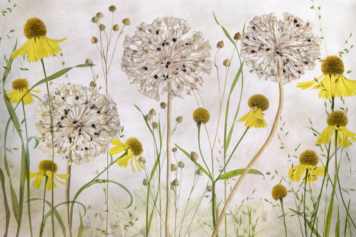 modern-3-piece-aluminium-print-alliums-and-heleniums