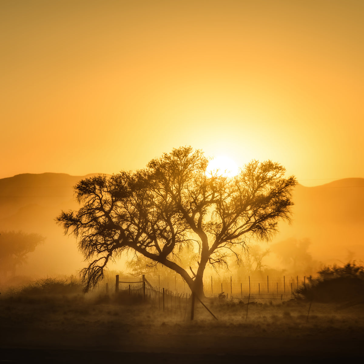 4-piece-canvas-print-golden-sunrise