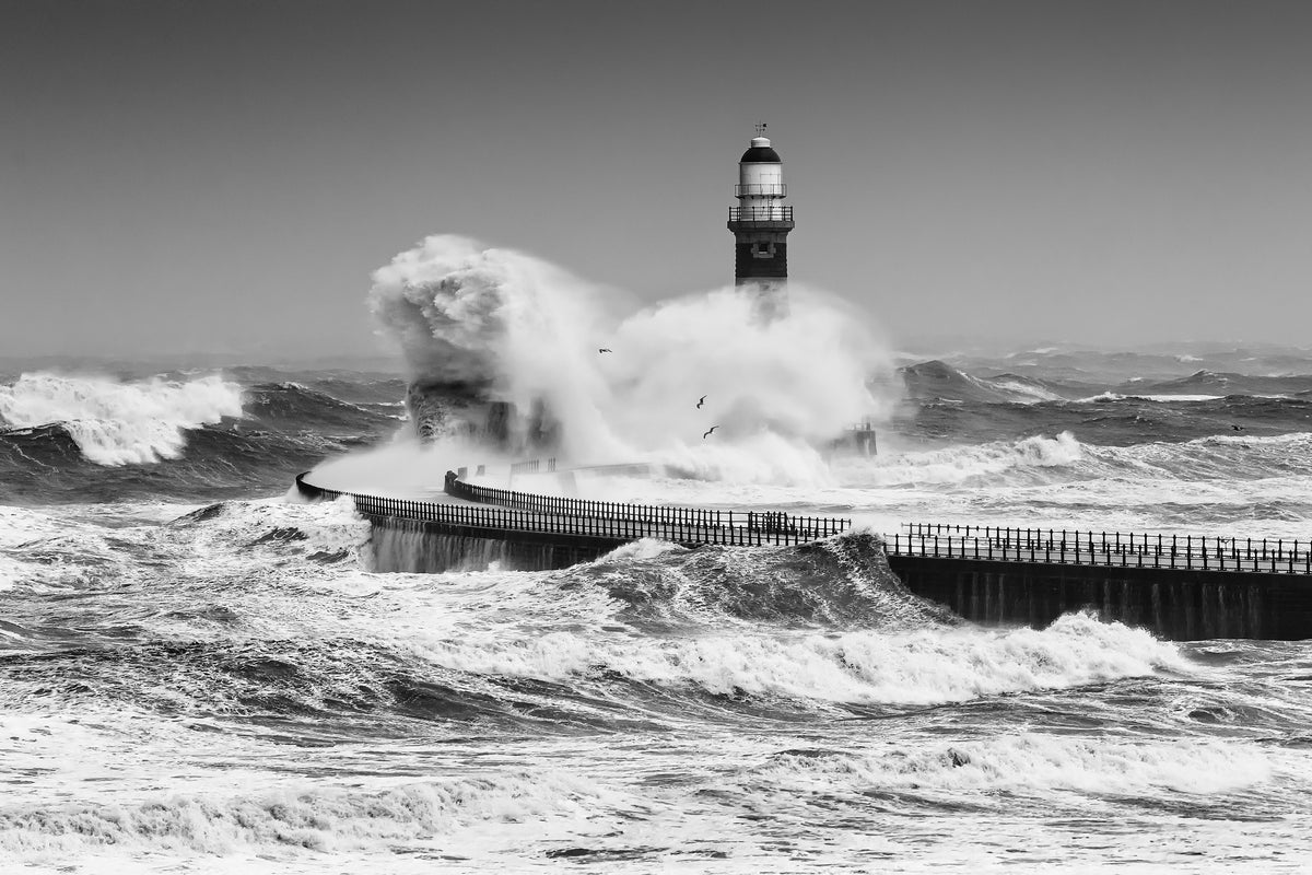 framedposter-print-power-of-the-sea-x