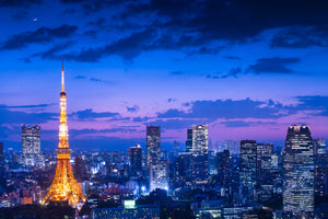 aluminium-print-tokyo-night-view