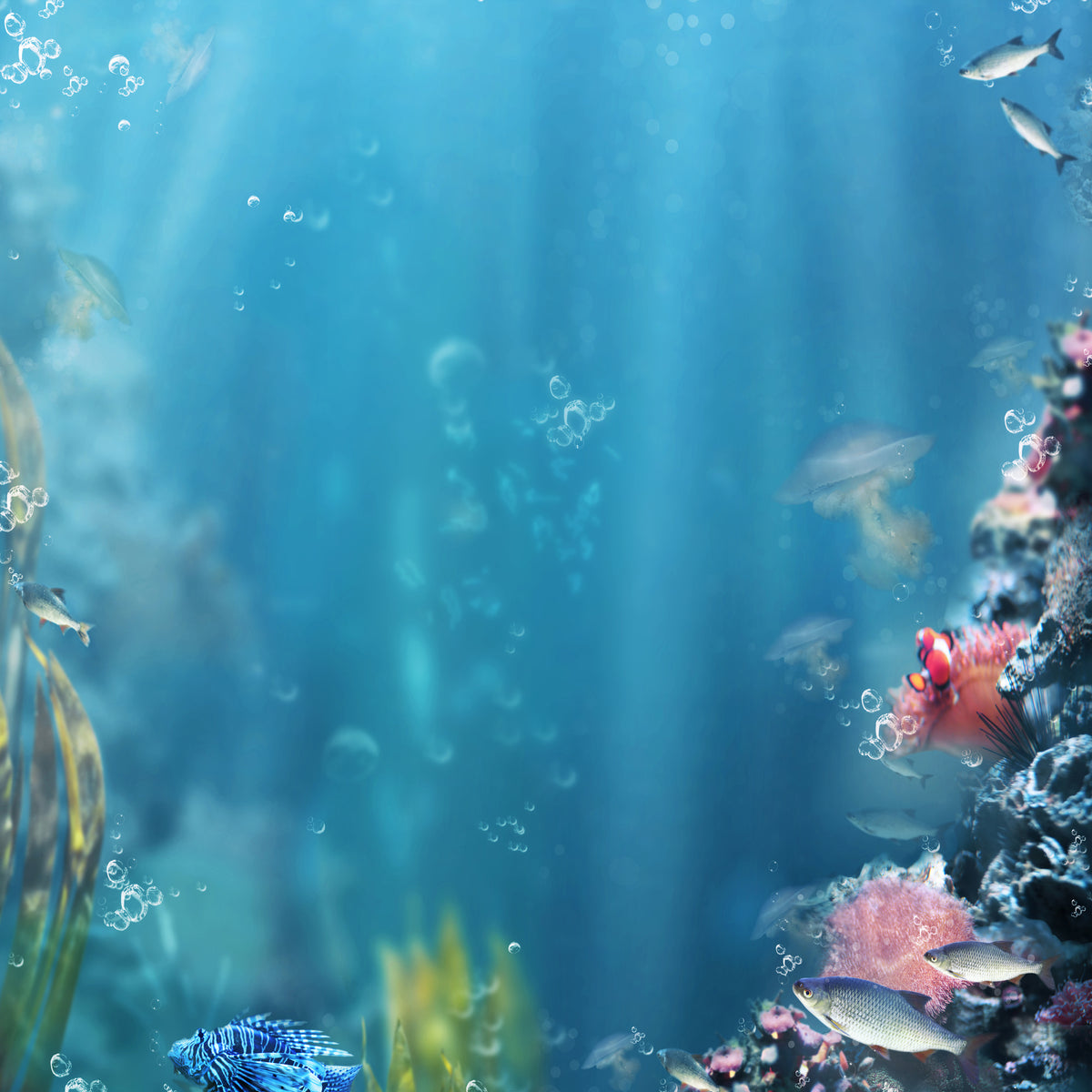 4-piece-aluminium-print-underwater