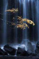 poster-print-yellow-autumn