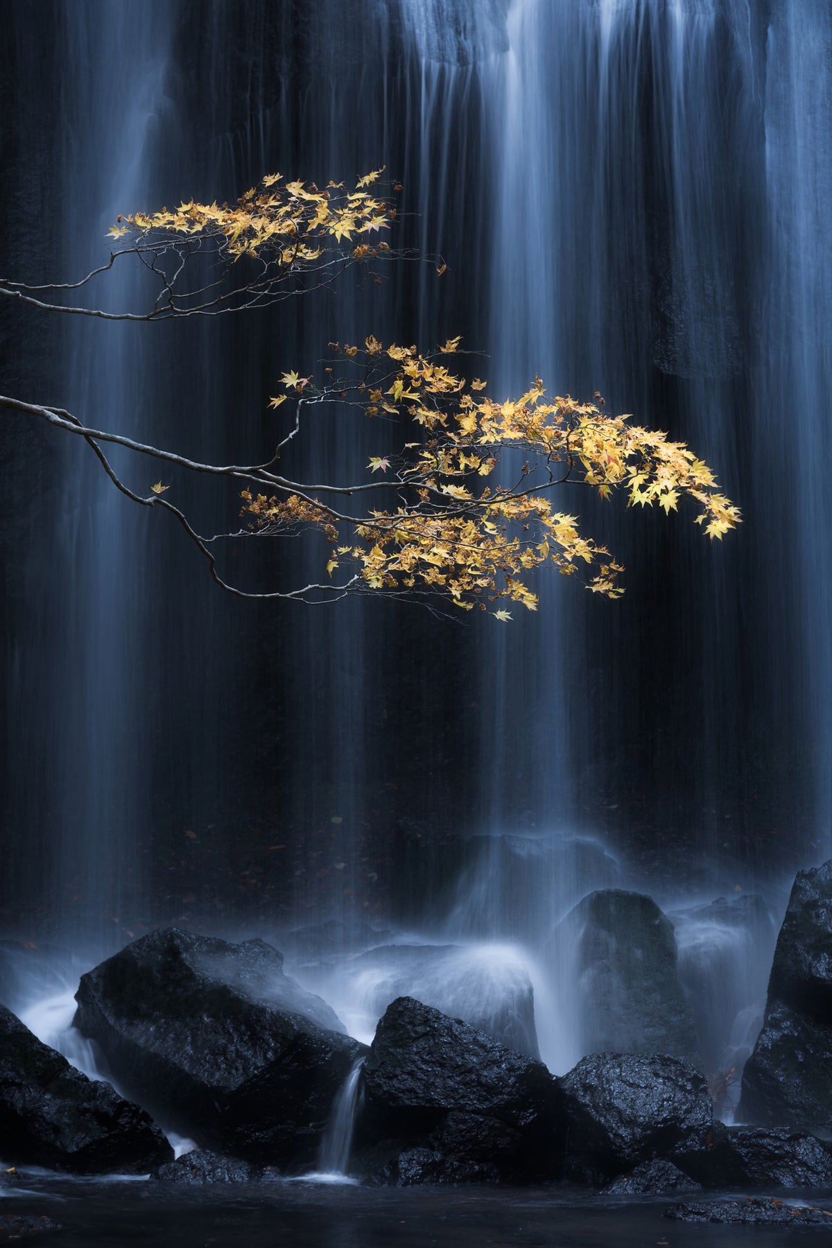 poster-print-yellow-autumn
