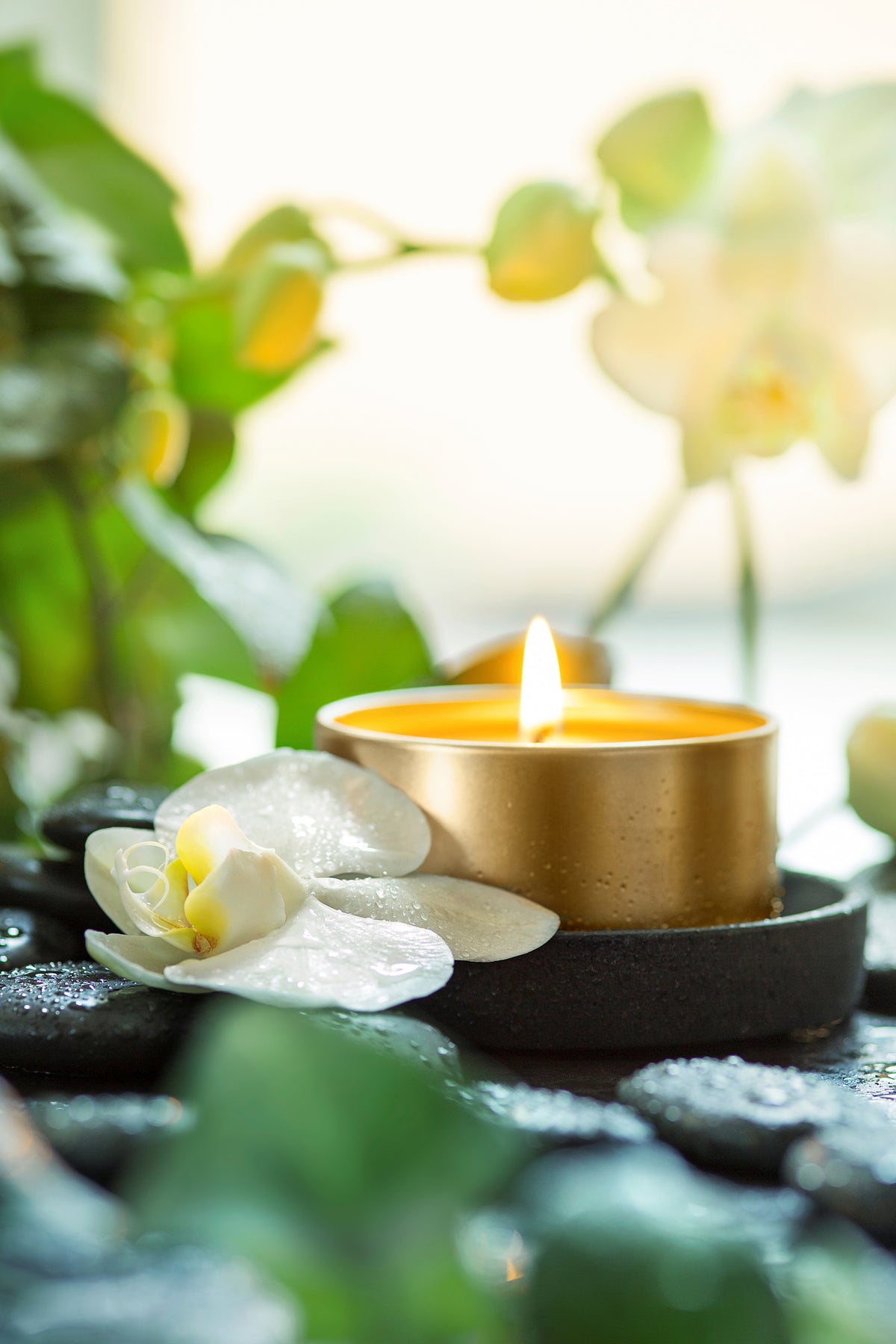 framedposter-print-zen-orchid-and-candle