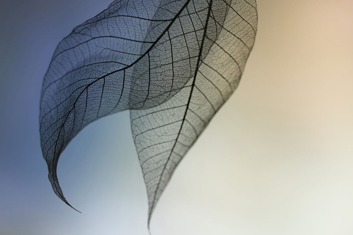 aluminium-print-cavatina