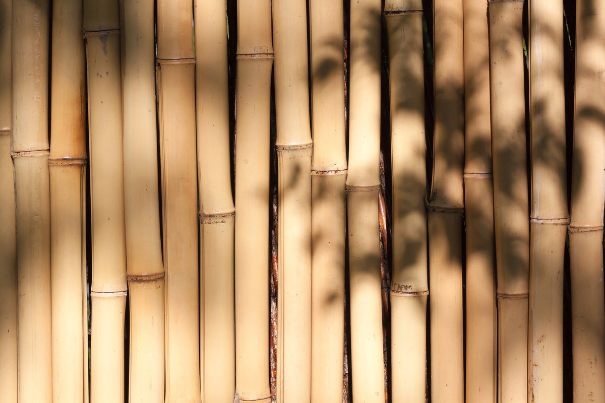 framedcanvas-print-natural-bamboo