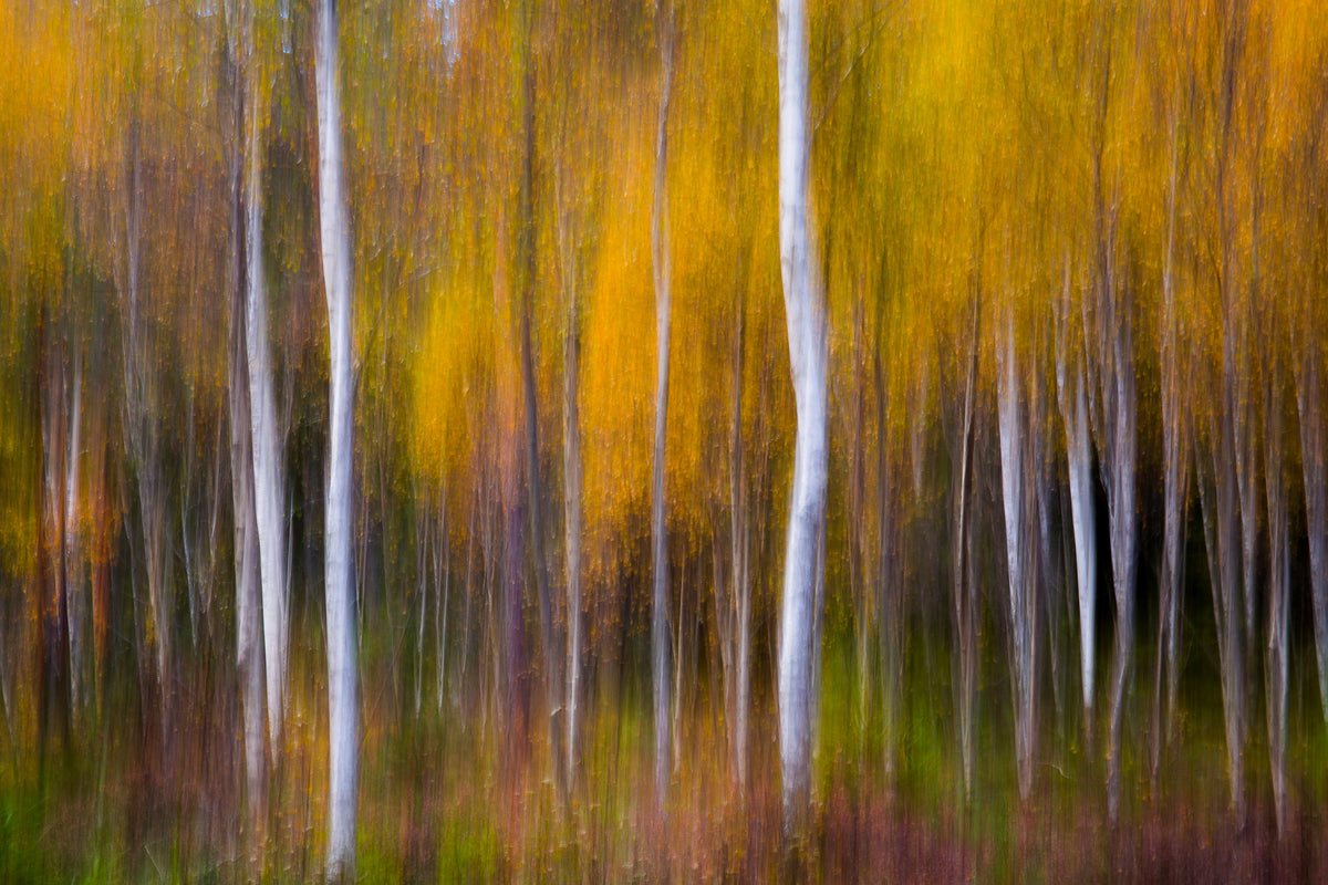 aluminium-print-abstract-fall
