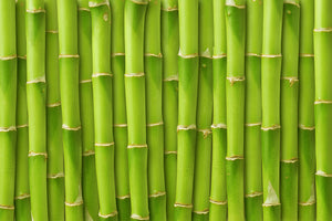 3-piece-canvas-print-bamboo-wall