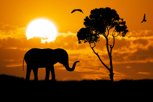 3-piece-aluminium-print-dreamy-africa