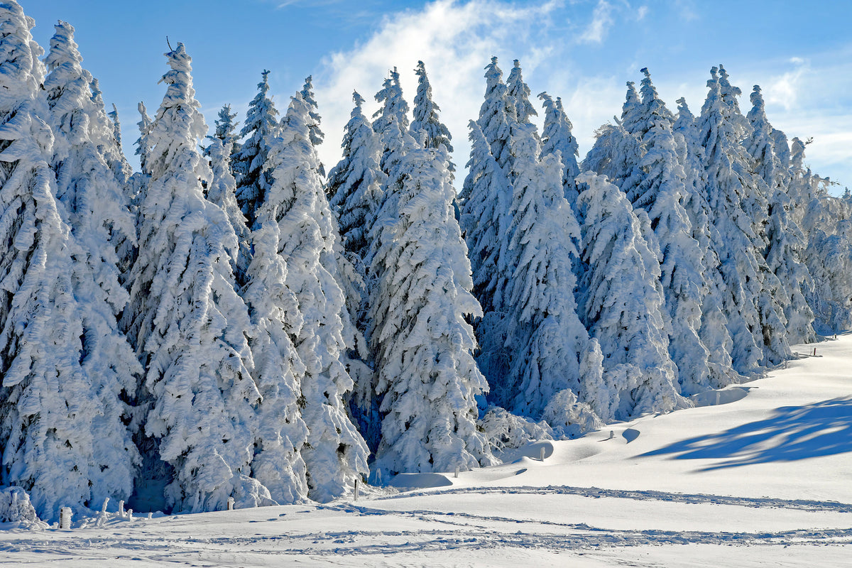 acrylic-print-beautiful-winter-landscape