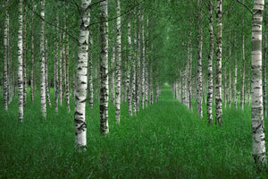 poster-print-the-tunnel