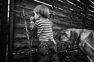 poster-print-the-world-from-behind-the-fence-x