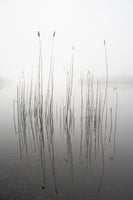 framedposter-print-silence