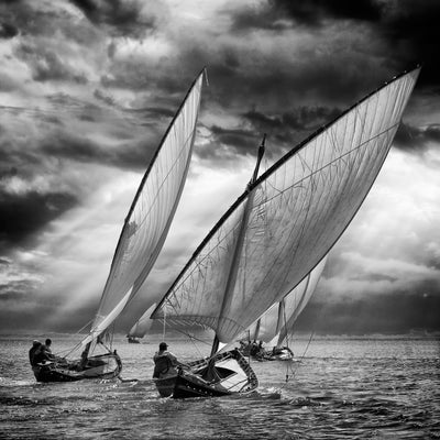 poster-print-sailboats-and-light