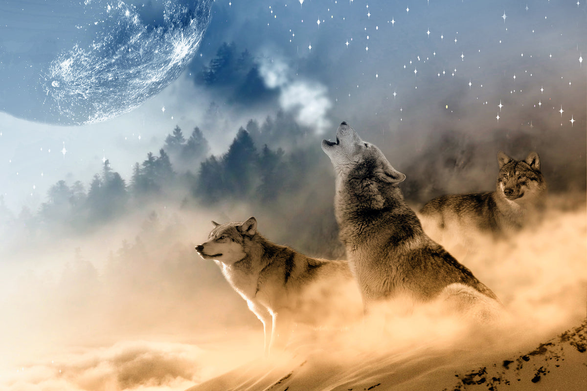 3-piece-canvas-print-the-world-of-wolves