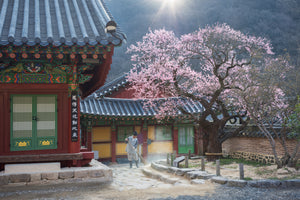 canvas-print-the-scent-of-spring-x