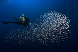 canvas-print-alvin-shoal