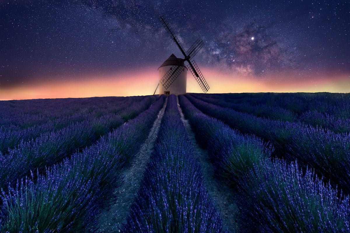canvas-print-lavender-night-x