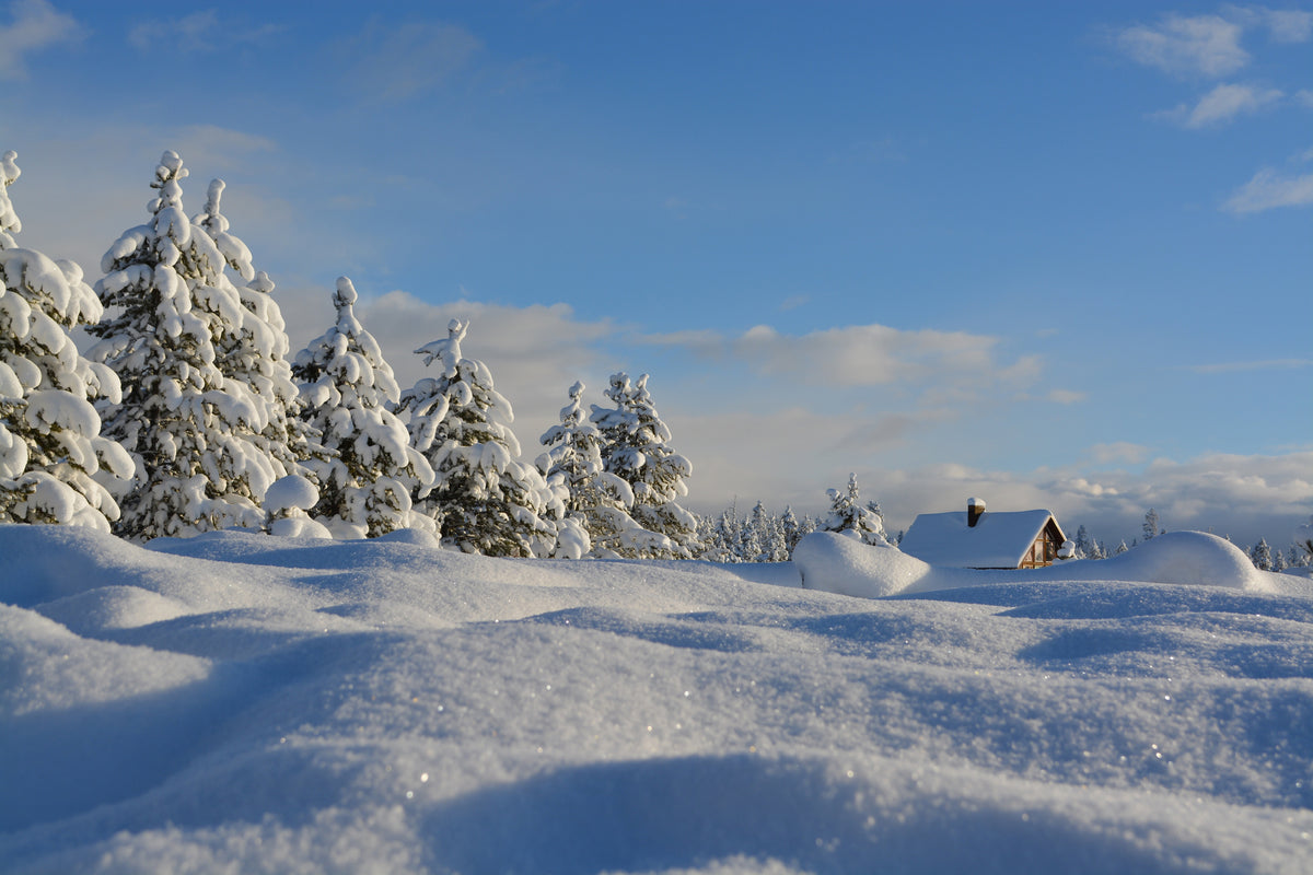 acrylic-print-beautiful-snow-landscape